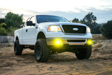 Ford/Toyota, F-150, Tundra, Tacoma Fog Light Kit